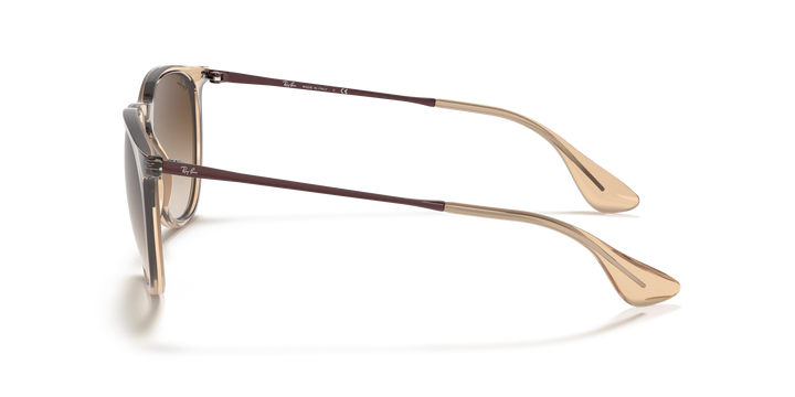 reval-myl-photo:RB4171_651413:0rb4171_651413_std_shad_lt #color_marron-traslucido-marron-degrade