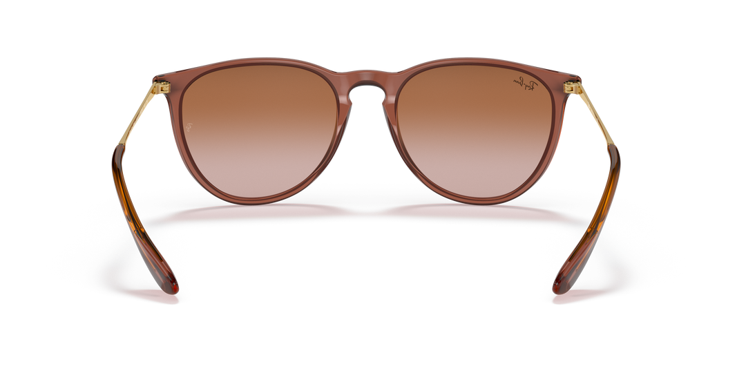 reval-myl-photo:RB4171_659013:0rb4171_659013_std_shad_bk #color_marron-claro-traslucido-marron-degrade