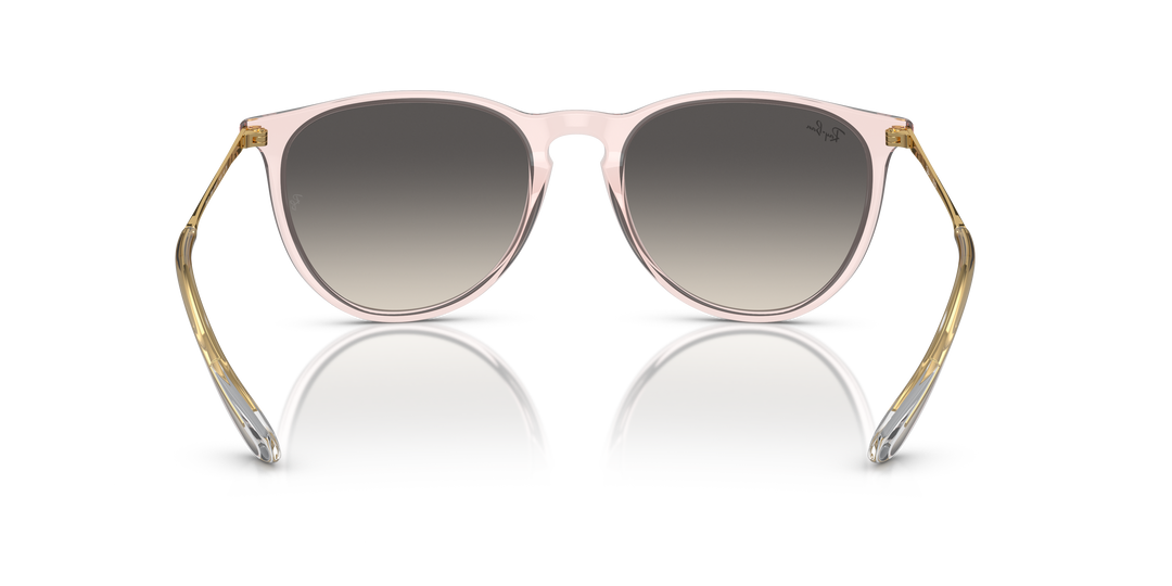 reval-myl-photo:RB4171_674211:0rb4171_674211_p21_shad_bk #color_rosa-traslucido-gris