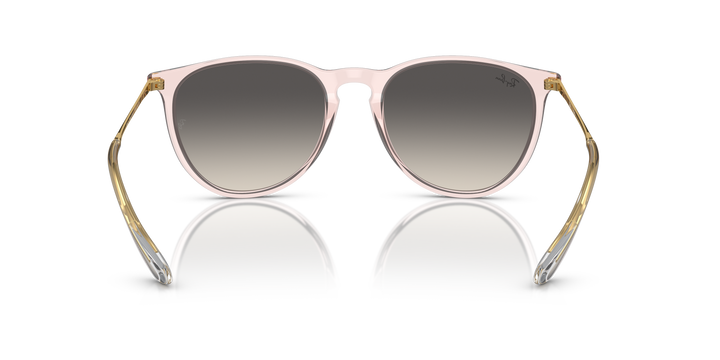 reval-myl-photo:RB4171_674211:0rb4171_674211_p21_shad_bk #color_rosa-traslucido-gris