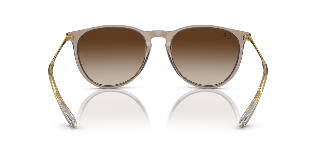 reval-myl-photo:RB4171_674413:0rb4171_674413_p21_shad_bk #color_marron-claro-traslucido-marron