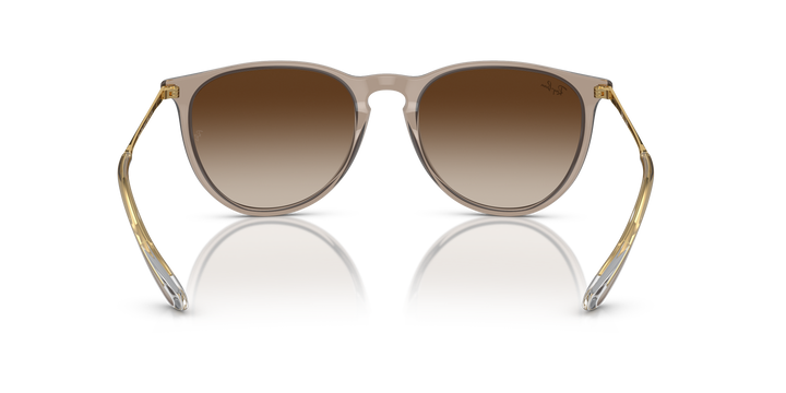 reval-myl-photo:RB4171_674413:0rb4171_674413_p21_shad_bk #color_marron-claro-traslucido-marron