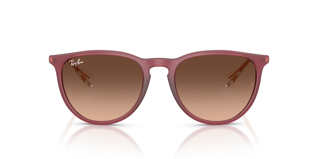 reval-myl-photo:RB4171_6815A5:0rb4171_6815a5_p21_shad_fr #color_goma-violeta-rosa-degrade-a-marron