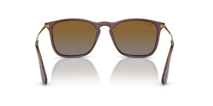 reval-myl-photo:RB4187_6593T5:0rb4187_6593t5_p21_shad_bk #color_marron-polarizado