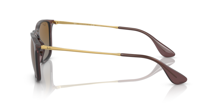 reval-myl-photo:RB4187_6593T5:0rb4187_6593t5_p21_shad_lt #color_marron-polarizado