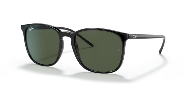 RAY BAN RB4387