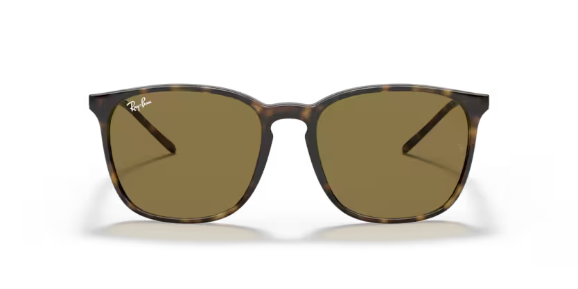 RAY BAN RB4387