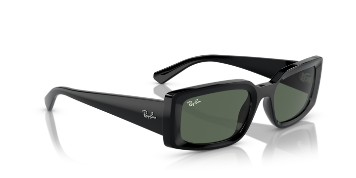 reval-myl-photo:RB4395_667771:0rb4395_667771_p21_shad_al2 #color_negro-verde-oscuro