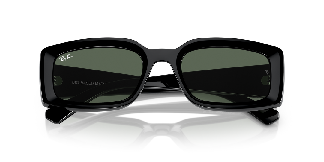 reval-myl-photo:RB4395_667771:0rb4395_667771_p21_shad_cfr #color_negro-verde-oscuro