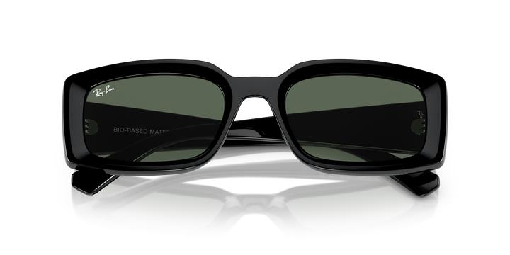 reval-myl-photo:RB4395_667771:0rb4395_667771_p21_shad_cfr #color_negro-verde-oscuro