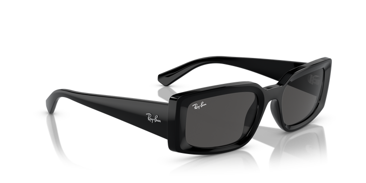 reval-myl-photo:RB4395_667787:0rb4395_667787_p21_shad_al2 #color_negro