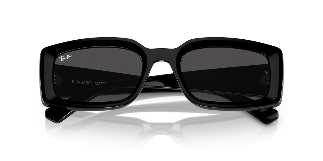 reval-myl-photo:RB4395_667787:0rb4395_667787_p21_shad_cfr #color_negro