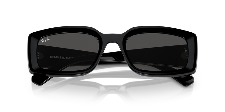 reval-myl-photo:RB4395_667787:0rb4395_667787_p21_shad_cfr #color_negro