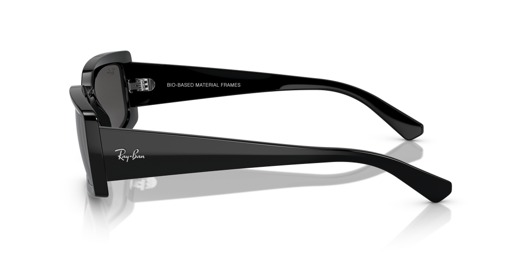 reval-myl-photo:RB4395_667787:0rb4395_667787_p21_shad_lt #color_negro