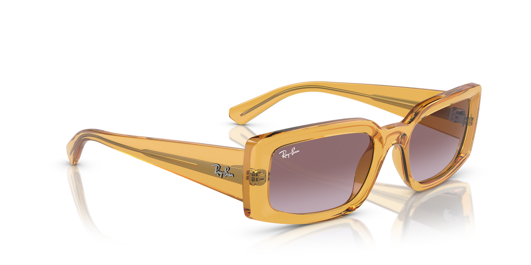reval-myl-photo:RB4395_66828H:0rb4395_66828h_p21_shad_al2 #color_violeta