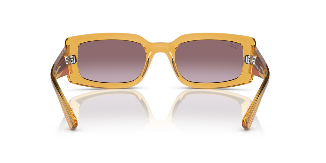 reval-myl-photo:RB4395_66828H:0rb4395_66828h_p21_shad_bk #color_violeta