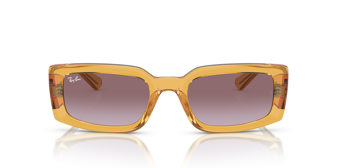 reval-myl-photo:RB4395_66828H:0rb4395_66828h_p21_shad_fr #color_violeta