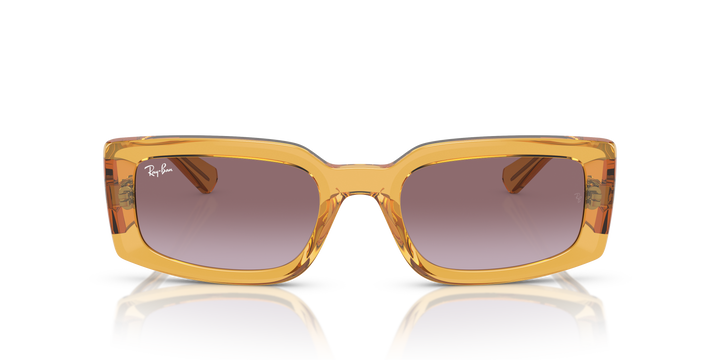 reval-myl-photo:RB4395_66828H:0rb4395_66828h_p21_shad_fr #color_violeta