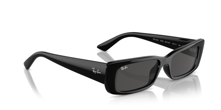 reval-myl-photo:RB4425_667787:0rb4425_667787_p21_shad_al2 #color_negro-gris-oscuro