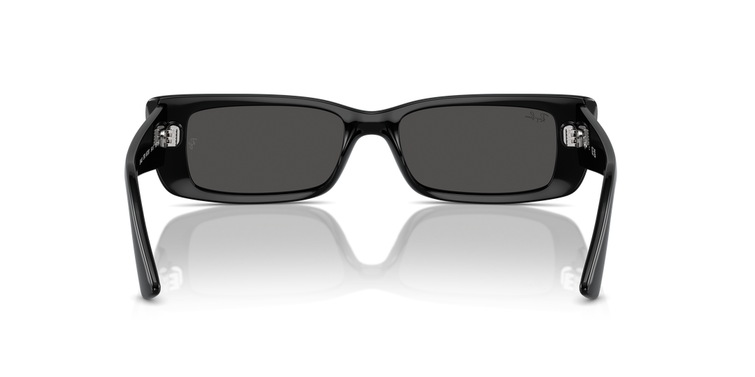 reval-myl-photo:RB4425_667787:0rb4425_667787_p21_shad_bk #color_negro-gris-oscuro