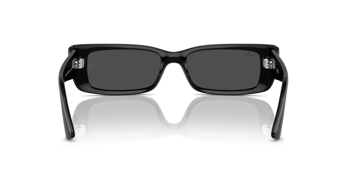 reval-myl-photo:RB4425_667787:0rb4425_667787_p21_shad_bk #color_negro-gris-oscuro