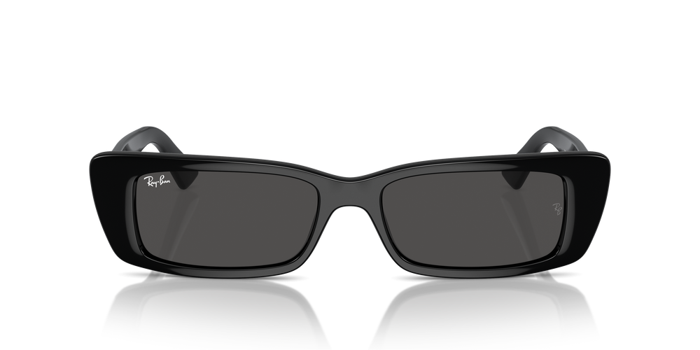 RAY BAN TERU RB4425
