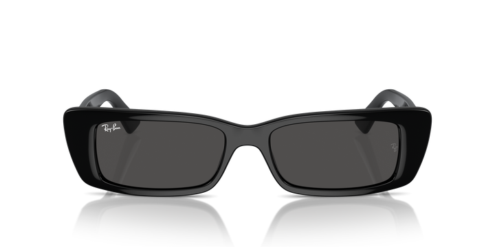 reval-myl-photo:RB4425_667787:0rb4425_667787_p21_shad_fr #color_negro-gris-oscuro