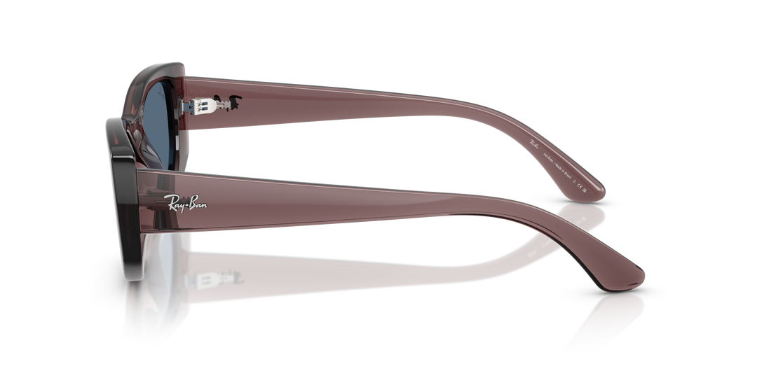 reval-myl-photo:RB4446L_678580:0rb4446l_678580_p21_shad_lt #color_marron-traslucido-azul-completo-54mm