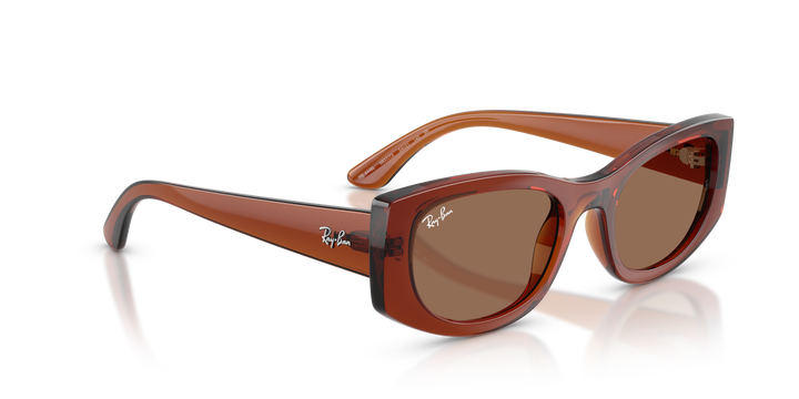 reval-myl-photo:RB4446L_683773:0rb4446l_683773_p21_shad_al2 #color_marron-traslucido-marron-oscuro-54mm