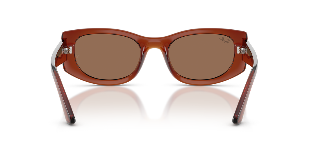 reval-myl-photo:RB4446L_683773:0rb4446l_683773_p21_shad_bk #color_marron-traslucido-marron-oscuro-54mm