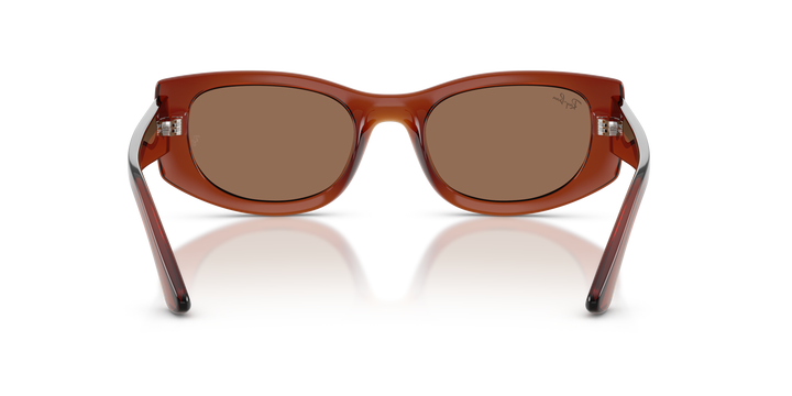 reval-myl-photo:RB4446L_683773:0rb4446l_683773_p21_shad_bk #color_marron-traslucido-marron-oscuro-54mm