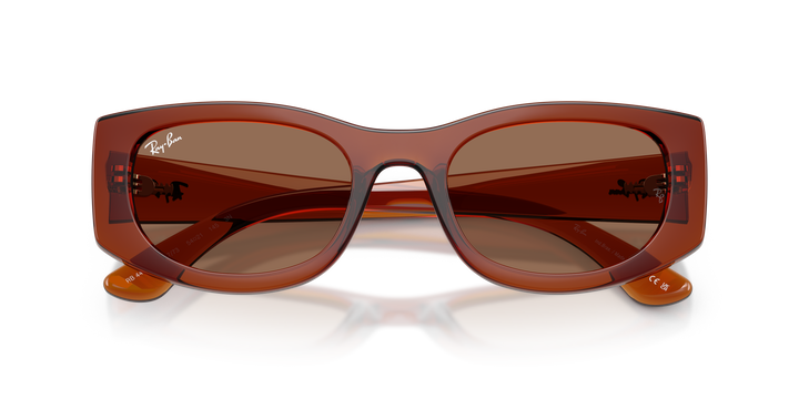 reval-myl-photo:RB4446L_683773:0rb4446l_683773_p21_shad_cfr #color_marron-traslucido-marron-oscuro-54mm