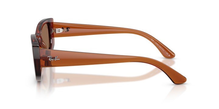 reval-myl-photo:RB4446L_683773:0rb4446l_683773_p21_shad_lt #color_marron-traslucido-marron-oscuro-54mm