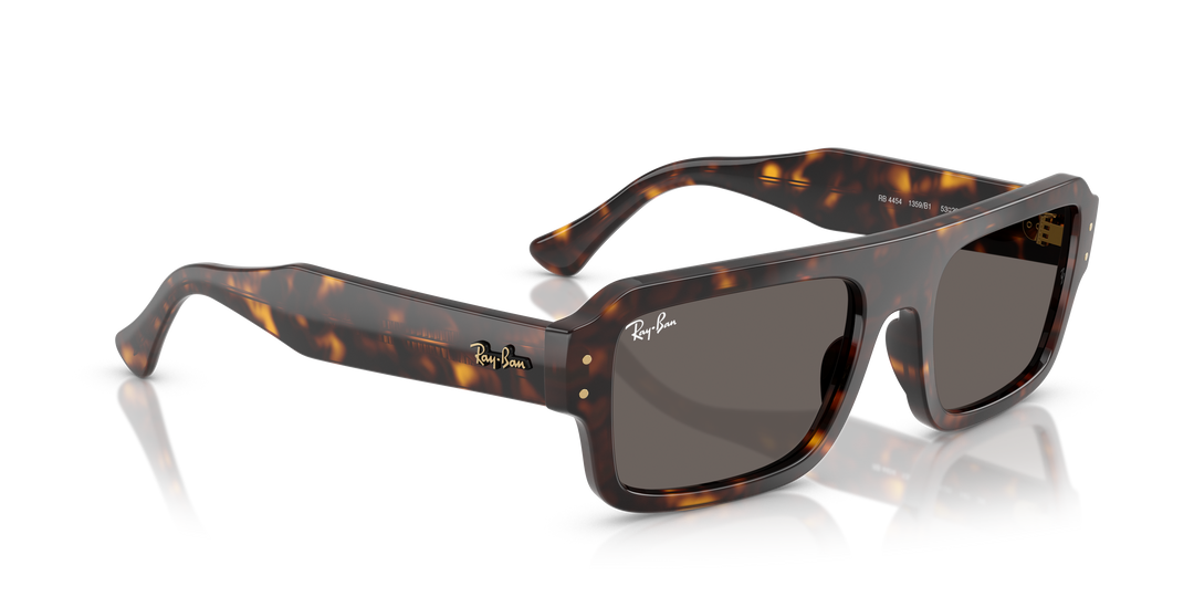 reval-myl-photo:RB4454_1359B1:0rb4454_1359b1_p21_shad_al2 #color_havana-gris-oscuro
