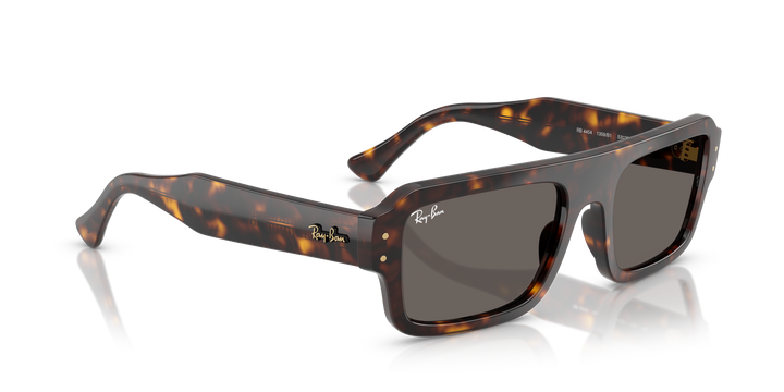 reval-myl-photo:RB4454_1359B1:0rb4454_1359b1_p21_shad_al2 #color_havana-gris-oscuro