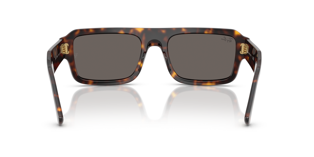 reval-myl-photo:RB4454_1359B1:0rb4454_1359b1_p21_shad_bk #color_havana-gris-oscuro