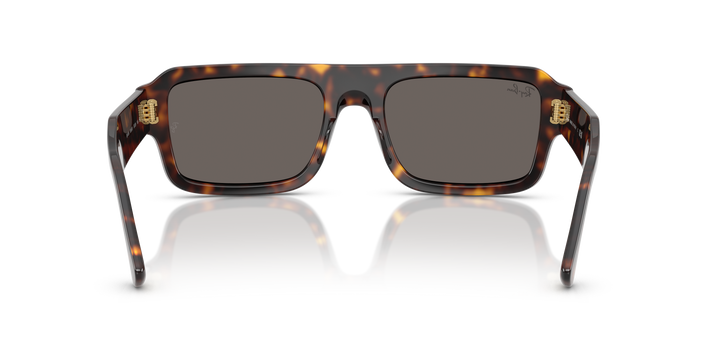 reval-myl-photo:RB4454_1359B1:0rb4454_1359b1_p21_shad_bk #color_havana-gris-oscuro