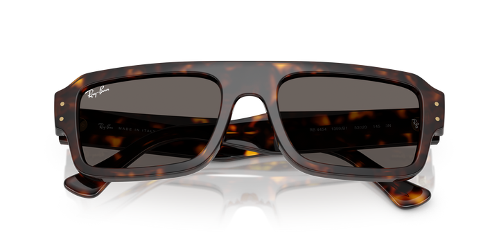 reval-myl-photo:RB4454_1359B1:0rb4454_1359b1_p21_shad_cfr #color_havana-gris-oscuro