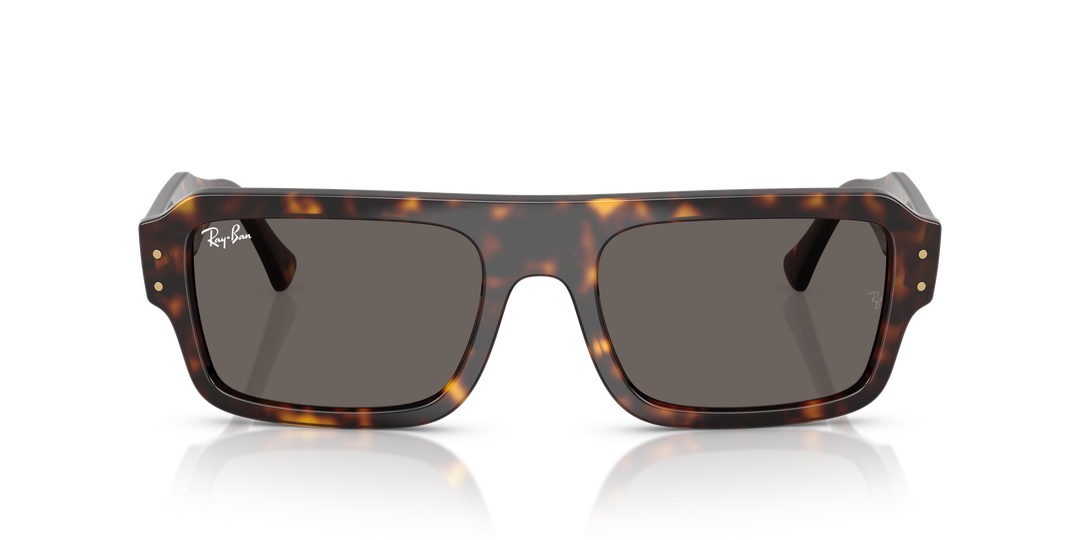 reval-myl-photo:RB4454_1359B1:0rb4454_1359b1_p21_shad_fr #color_havana-gris-oscuro