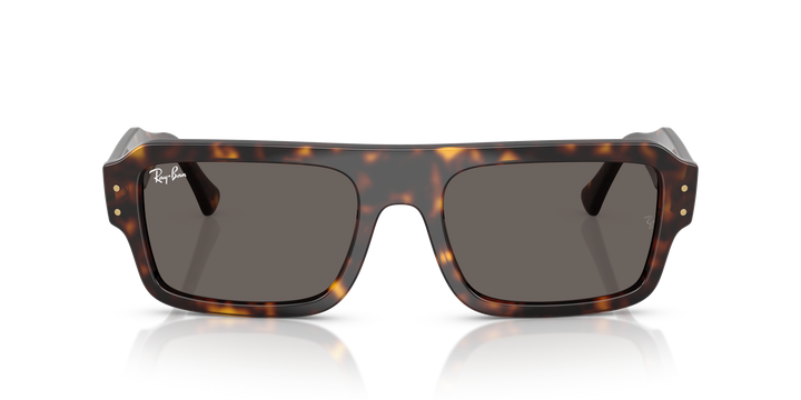 reval-myl-photo:RB4454_1359B1:0rb4454_1359b1_p21_shad_fr #color_havana-gris-oscuro