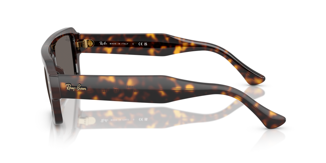 reval-myl-photo:RB4454_1359B1:0rb4454_1359b1_p21_shad_lt #color_havana-gris-oscuro