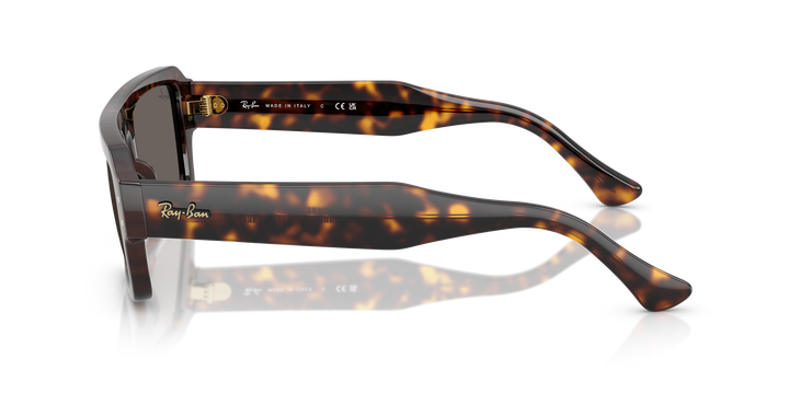 reval-myl-photo:RB4454_1359B1:0rb4454_1359b1_p21_shad_lt #color_havana-gris-oscuro