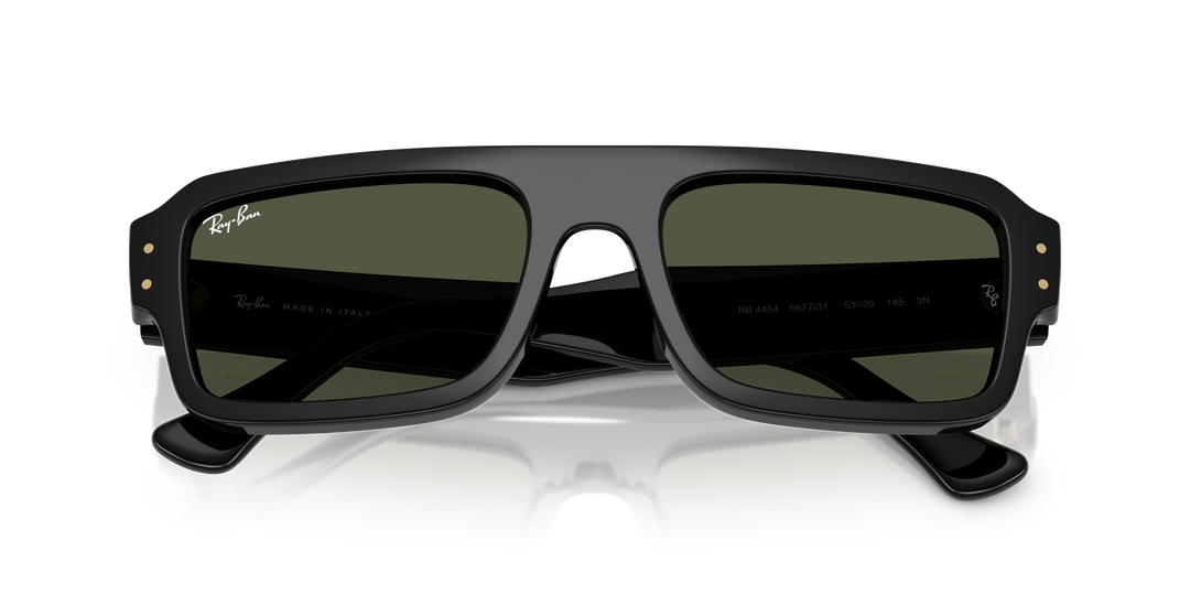 reval-myl-photo:RB4454_667731:0rb4454_667731_p21_shad_cfr #color_negro-verde