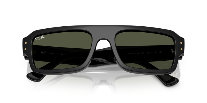 reval-myl-photo:RB4454_667731:0rb4454_667731_p21_shad_cfr #color_negro-verde