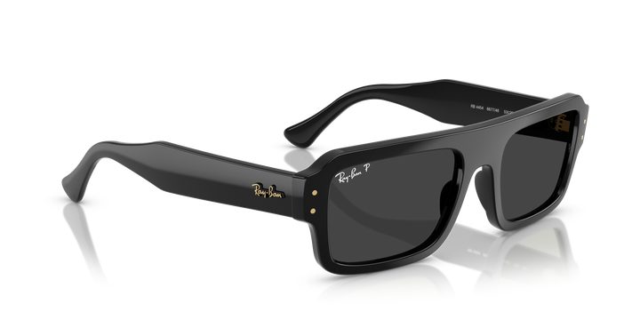 reval-myl-photo:RB4454_667748:0rb4454_667748_p21_shad_al2 #color_negro