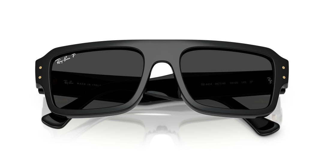 reval-myl-photo:RB4454_667748:0rb4454_667748_p21_shad_cfr #color_negro