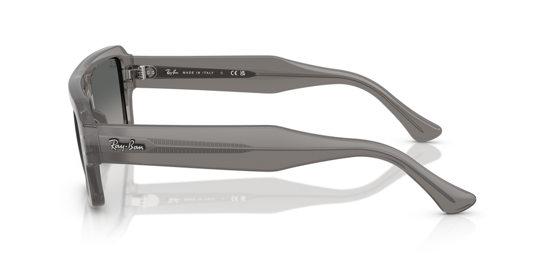 reval-myl-photo:RB4454_680571:0rb4454_680571_p21_shad_lt #color_gris-traslucido-gris-degrade