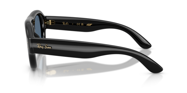 Ray Ban RB4925 Negro / Azul oscuro vista 2