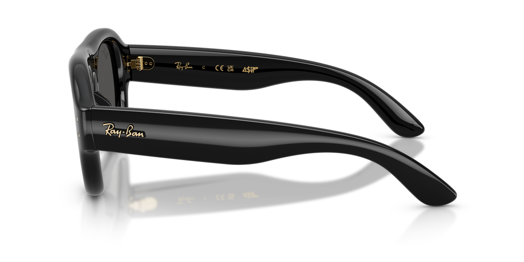 Ray Ban RB4925 Ultra Negro vista 2