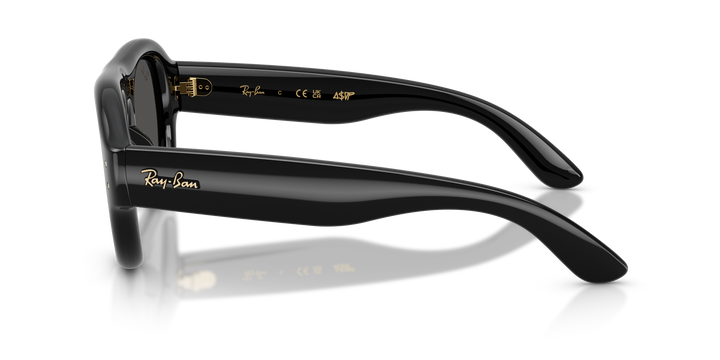 Ray Ban RB4925 Ultra Negro vista 2